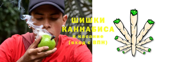 дмт Приозерск