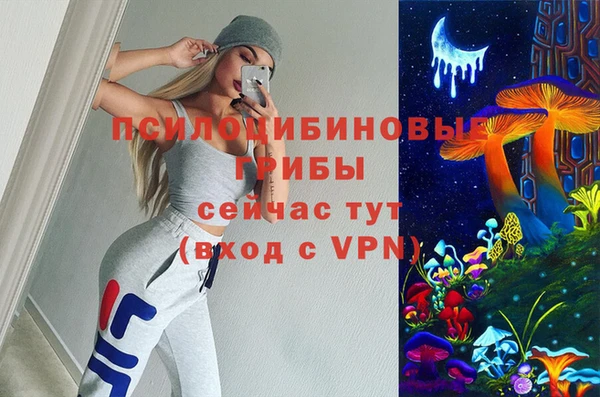 дмт Приозерск