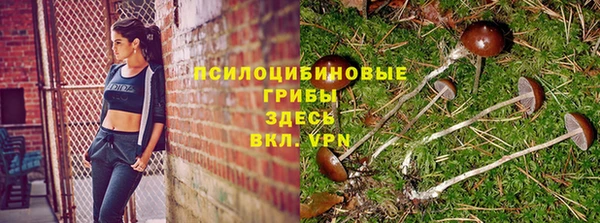 соль ск Протвино